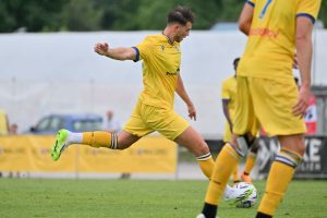 Samardzic Udinese
