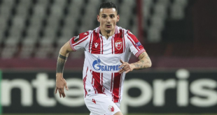 pronostico stella rossa