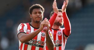 pronostico sheffield united brewster