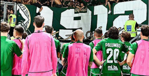 Avellino